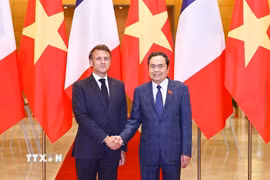 Chủ tịch Quốc hội Trần Thanh Mẫn hội kiến Tổng thống Pháp Emmanuel Macron