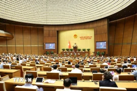 Toàn cảnh phiên họp. (Ảnh: Phương Hoa/TTXVN)