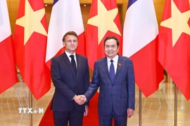 Chủ tịch Quốc hội Trần Thanh Mẫn hội kiến Tổng thống Pháp Emmanuel Macron