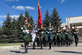 Sỹ quan Quân đội nhân dân Việt Nam. (Ảnh: Tâm Hằng/TTXVN)