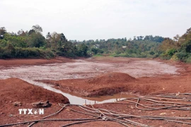 Một hồ thủy lợi tại xã Đắk Lao, huyện Đắk Mil, tỉnh Đắk Nông đã gần cạn kiệt nước. (Ảnh: Hưng Thịnh/TTXVN)