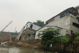 Hà Nội: Khẩn trương xử lý sự cố lún, nứt đê hữu Cầu và hữu Hồng