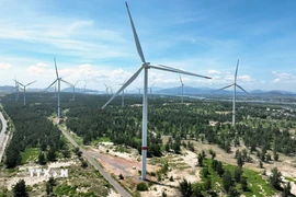 Điện gió tỉnh Gia Lai. (Ảnh: Vũ Sinh/TTXVN)