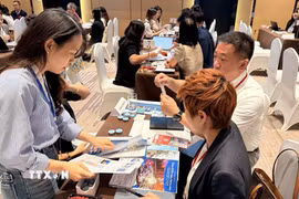 Doanh nghiệp lữ hành, du lịch Việt Nam-Nhật Bản trực tiếp gặp gỡ, trao đổi thông tin du lịch. (Ảnh: Ngọc Bích/TTXVN)