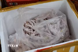 Chân gà đông lạnh không rõ nguồn gốc xuất xứ. (Ảnh: Quang Duy/TTXVN)