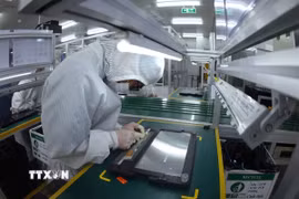 Lắp ráp máy tính xách tay tại nhà máy của Công ty Heesung Electronics Việt Nam, Khu công nghiệp Tràng Duệ, quận An Dương, thành phố Hải Phòng. (Ảnh: Vũ Sinh/ TTXVN)