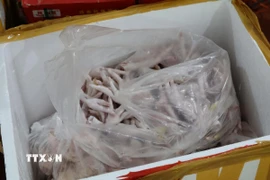 Chân gà đông lạnh không rõ nguồn gốc xuất xứ. (Ảnh: Quang Duy/TTXVN)