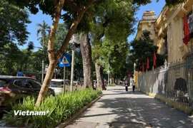 Thành phố Hồ Chí Minh đẩy nhanh chỉnh trang vỉa hè. (Ảnh minh họa. Nguồn: Vietnam+)