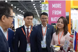Đại sứ Đặng Minh Khôi tham quan một trong các gian hàng Việt Nam tại Hội chợ. (Ảnh: báo Nhân dân)