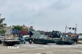 Ảnh minh họa. (Ảnh: TTXVN phát)