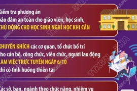 Hà Nội: Chỉ đạo khẩn trương ứng phó bão số 11 - Matmo