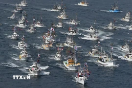 Tàu đánh cá diễu hành tại lễ hội cầu ngư ở ngoài khơi Munakata, tỉnh Fukuoka (Nhật Bản). (Ảnh: Kyodo/TTXVN)