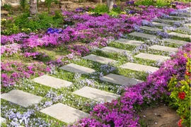 Ảnh minh họa. (Nguồn ảnh: Getty Images/Jiojio)