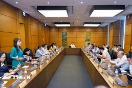 Đoàn đại biểu Quốc hội các tỉnh An Giang và Quảng Trị thảo luận ở tổ. (Ảnh: Doãn Tấn/TTXVN)