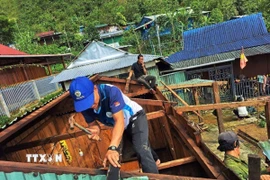 Lực lượng tại chỗ được chính quyền địa phương huy động để sửa chữa nhà bị hư hỏng nặng cho đồng bào xã Trà Linh. (Ảnh: Đoàn Hữu Trung/TTXVN) 