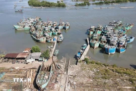 Tàu không đủ điều kiện được xã Phước Hải bố trí neo đậu tại ụ tàu Lứa Bạn cắt cử Ban điều hành ấp trông coi để quản lý chặt chẽ không cho ra khơi xuất bến. (Ảnh: Hoàng Nhị/TTXVN) 