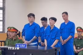 Các bị cáo nghe Hội đồng xét xử tuyên án. (Ảnh: Thanh Sang/TTXVN) 