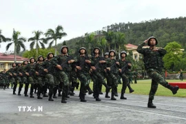 Các lực lượng thực hiện đi theo điều lệnh tại lễ tuyên thệ. (Ảnh: Trọng Đức/TTXVN)