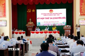 Đại biểu Hội đồng Nhân dân tỉnh Bình Thuận biểu quyết thông qua các Nghị quyết tại kỳ họp. (Ảnh: Nguyễn Thanh/TTXVN)