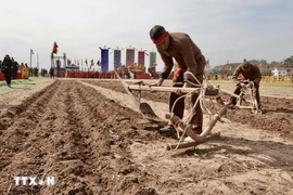 Lễ hội Tịch điền tại phường Tiên Sơn. (Ảnh: Trần Việt/TTXVN)