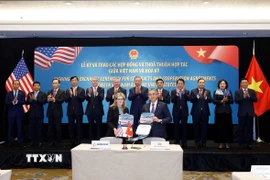 Vietnam Airlines dự kiến sẽ tiếp nhận 50 chiếc Boeing 737-8 trong giai đoạn từ năm 2030-2032. (Ảnh: Thống Nhất/TTXVN)