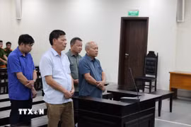 Các bị cáo nghe Tòa tuyên án. (Ảnh: Vũ Quang/TTXVN)