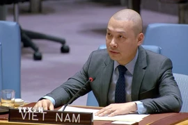 Công sứ Nguyễn Hoàng Nguyên, Đại biện lâm thời Phái đoàn thường trực Việt Nam tại Liên hợp quốc phát biểu tại phiên thảo luận. (Ảnh: TTXVN phát)