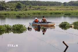 Cán bộ Trung tâm Kỹ thuật Tài nguyên và Môi trường Đồng Nai, thuộc Sở Tài nguyên và Môi trường thành phố Đồng Nai chèo thuyền ra vị trí lòng hồ thủy lợi Phước Hòa để lấy mẫu nước. (Ảnh minh họa: Đậu Tất Thành/TTXVN)
