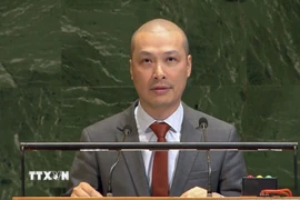Công sứ Nguyễn Hoàng Nguyên, Phó Trưởng Phái đoàn thường trực Việt Nam tại Liên hợp quốc. (Ảnh: Hoài Thanh/TTXVN)