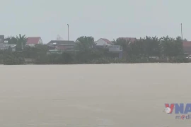 Mưa lớn diện rộng từ Huế đến Khánh Hòa, nguy cơ lũ quét và sạt lở