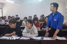 Ảnh minh họa. (Ảnh: Nguyên Dung/TTXVN)