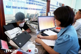 Cán bộ, công chức, viên chức trong năm trước liền kề hoặc năm xét tinh giản biên chế bị xếp loại không hoàn thành nhiệm vụ sẽ bị tinh giản biên chế. (Ảnh minh hoạ: Hồng Đạt/TTXVN)