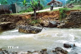 Mưa lũ gây sạt lở bờ kè, cuốn trôi rọ đá khiến cầu gỗ vào bản Na Ngân, xã Nga My (Tương Dương, Nghệ An) bị hư hỏng nặng, tạm thời chia cắt giao thông trên con đường dân sinh độc đạo. (Ảnh: TTXVN phát)