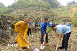 Lãnh đạo địa phương cùng đoàn viên, thanh niên và người dân ra quân trồng cây tại tuyến đường. (Ảnh: Đức Thọ/TTXVN)