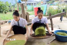 Chuẩn bị cốm cho lễ cúng "Mừng Cơm mới" (Ảnh: TTXVN)