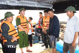 Các cơ quan chức năng yêu cầu các hộ lấn chiếm bãi triều tháo dỡ, trả lại hiện trạng mặt biển. (Ảnh: Thanh Vân/TTXVN)