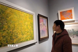 Khách tham quan triển lãm. (Ảnh: Phương Thanh/TTXVN)