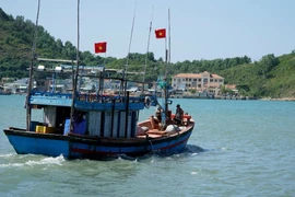 Ảnh minh họa. (Ảnh: Đình Quân/TTXVN)