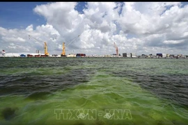 Một hồ chứa nước thải ở Mỹ. (Nguồn: TTXVN)