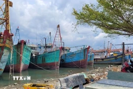 Hàng loạt tàu hành nghề giã cào tại xã Long Hải (Thành phố Hồ Chí Minh) đánh bắt thua lỗ phải nằm bờ. (Ảnh: Hoàng Nhị/TTXVN)