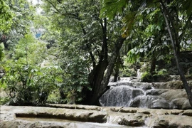 Vẻ đẹp nguyên sơ thác 7 tầng. (Ảnh: Hoàng Nguyên/TTXVN)