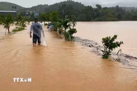 Mưa lớn gây ngập lụt tại một số địa phương ở tỉnh Lào Cai