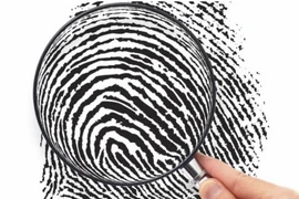 Lá dứa phế thải trở thành giải pháp xử lý ô nhiễm và điều tra vân tay. (Ảnh: Internet)