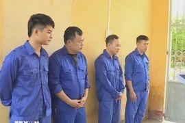Các đối tượng bị bắt giữ. (Ảnh: TTXVN phát)