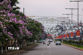 Hai thành phố Cao Lãnh và Hòa Bình được công nhận là đô thị loại II