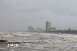 Sóng biển dữ dội ở vùng biển Cửa Lò (Nghệ An) trước thời khắc bão số 10 đổ bộ. (Ảnh: Văn Tý/TTXVN) 