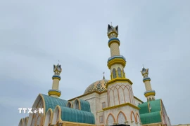 Thánh đường nổi bật từ xa với kiến trúc và màu sắc độc đáo. (Ảnh: Minh Thái/TTXVN)