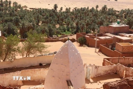 Khám phá cuộc sống nơi ốc đảo trên sa mạc Sahara