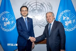 Đại sứ Đỗ Hùng Việt và Tổng Thư ký Liên hợp quốc António Guterres. (Ảnh: Lê Hoàng/TTXVN)