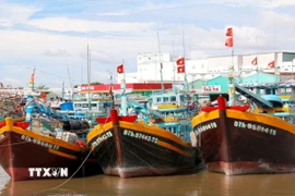 Tàu cá là một trong những phương tiện sử dụng diesel. (Nguồn: TTXVN)